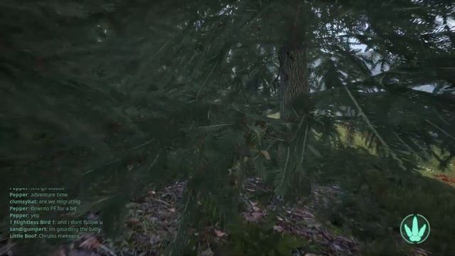 The Isle Gameplay 1 - The Disoriented Dryo