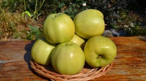 Сорт яблони Чудное