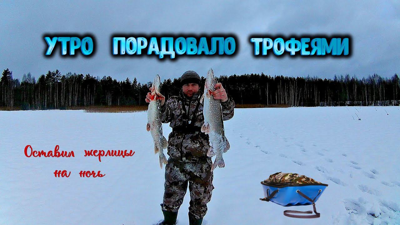 ✔️ УТРО ПОРАДОВАЛО ТРОФЕЯМИ Оставил жерлицы на ночь Удачная рыбалка на озере смотреть онлайн
