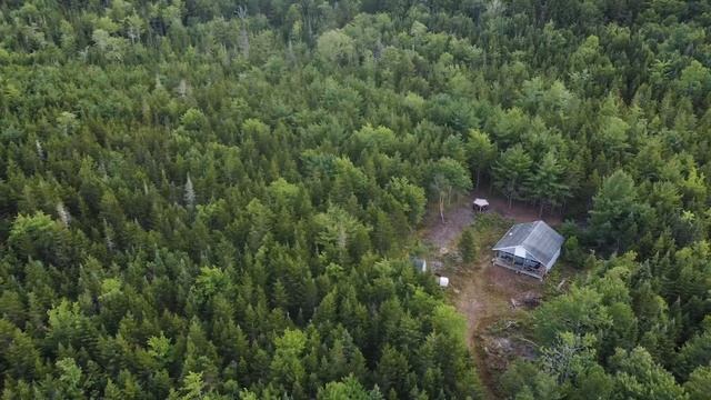 First Week Living at Cabin in the Woods Alone смотреть онлайн