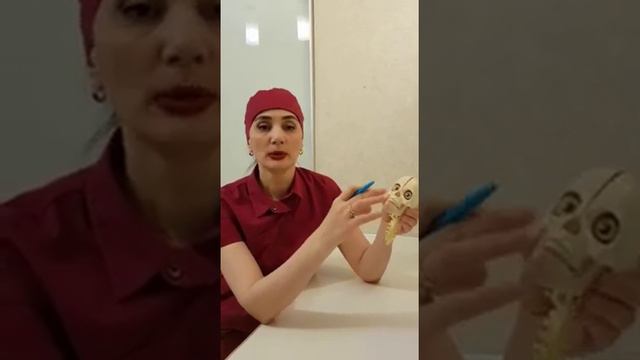 Что происходит в челюстном суставе смотреть онлайн