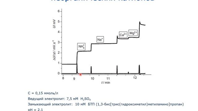 А.В. Пирогов. Виды электромиграционных методов и концентрирование. Лекция 2 смотреть онлайн