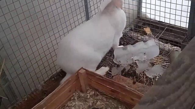 ПРАЗДНИК, НЕ ПРАЗДНИК, А МЫ НЕ ДОМА. ХОРОШАЯ ЗАБОТА, ОТЛИЧНЫЙ РЕЗУЛЬТАТ смотреть онлайн