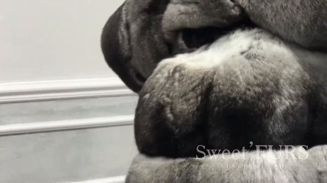 Шубка из шиншиллы от мехового дома "Sweet Furs" смотреть онлайн