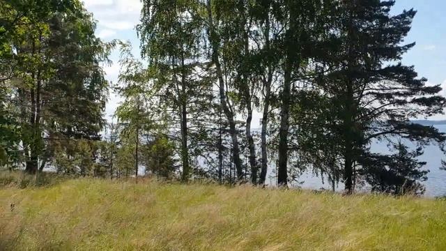 деревня Стрелка Сокольского района Нижегородская область смотреть онлайн