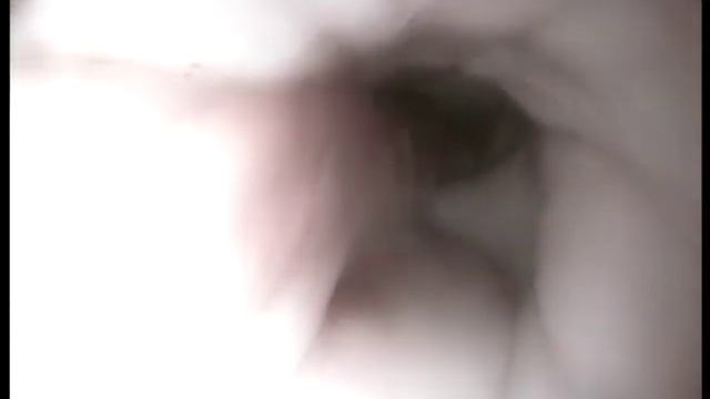 Мегаэзофагус у щенка немецкой овчарки