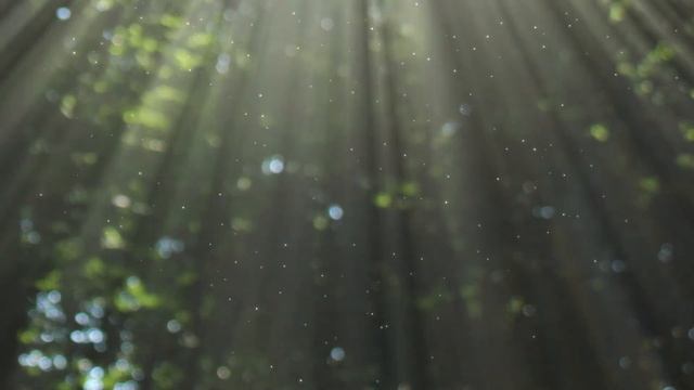 Peaceful Relaxing Piano Music With Nature Sounds- Inspirational, Meditation, Studying Concentration