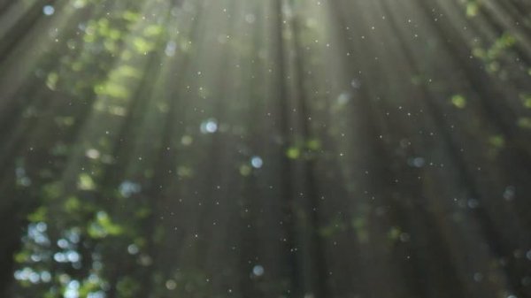 Peaceful Relaxing Piano Music with Nature Sounds- Inspirational, Meditation, Studying Concentration