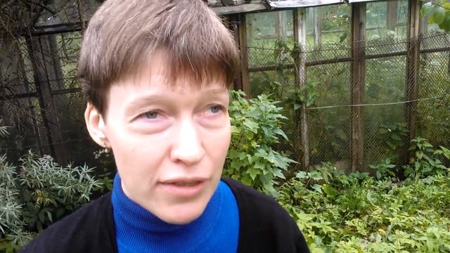 Планирую собирать свои семена моркови смотреть онлайн