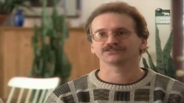 Все о собаках: Прямошерстный ретривер [HD] Animal Planet смотреть онлайн