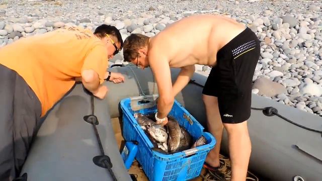 Путешествия в мир природы, людей и приключений