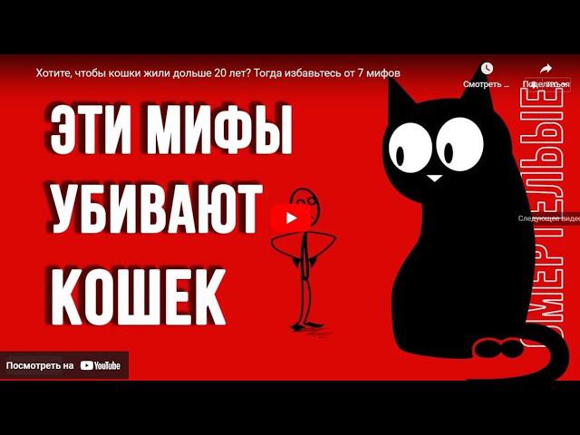 Совместный просмотр видео с канала @catsloving / Мифы о кошках.