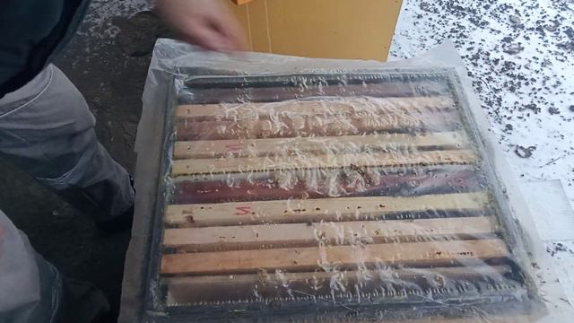 Осмотр слабых отводков , есть проблема. смотреть онлайн