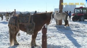 В Якутии отмечают День коневода-табунщика