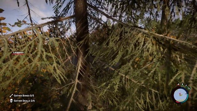 Sons of the Forest Multiplayer | THE ROPE GUN! смотреть онлайн