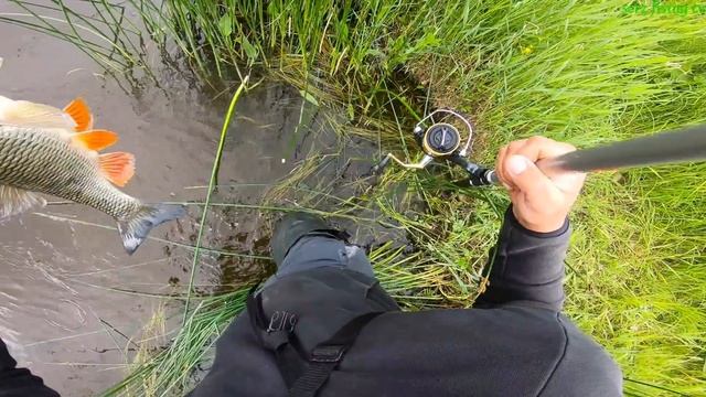 Ловля Голавля на хлеб смотреть онлайн