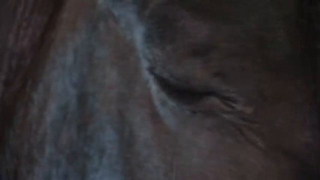 Немного о нас смотреть онлайн