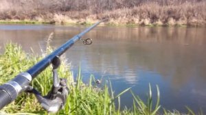 Рыбалка на поплавок 2021. Щука на  живца!