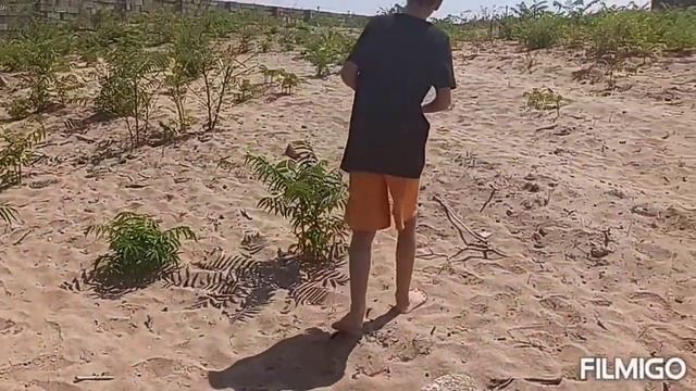 Бакинские дачи / Инжир, Виноград, Золотой песок смотреть онлайн