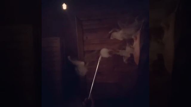 Кальян/Кольца смотреть онлайн