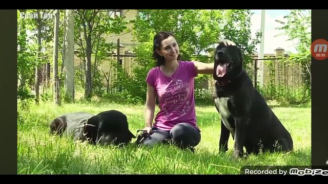 5 фактов Про Алабая/Балшаяа Сабаки/Mistr Top смотреть онлайн
