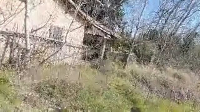 France/Гуляем с Мегги по НОВЫМ местам! Присоединяйтесь смотреть онлайн