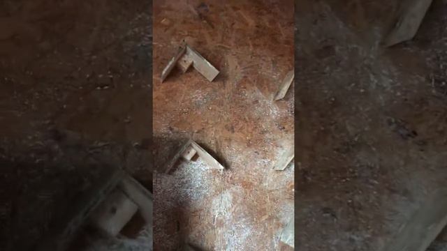 Николаевские голуби . Андрей Одесса смотреть онлайн