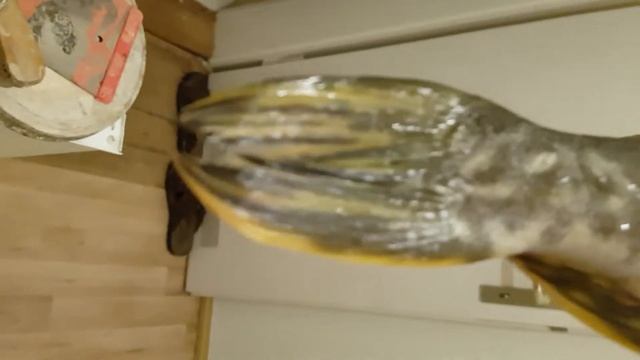 Разделка щуки для жарки щука рыба смотреть онлайн