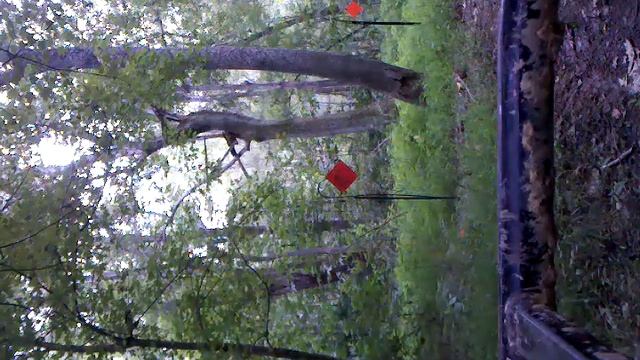 Colt Python on steel...rapid fire смотреть онлайн