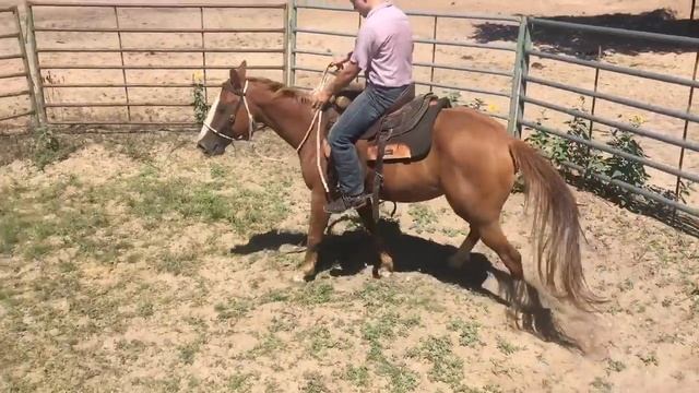 Bailey Barrett(15)/Bronc Pen/Smurf смотреть онлайн