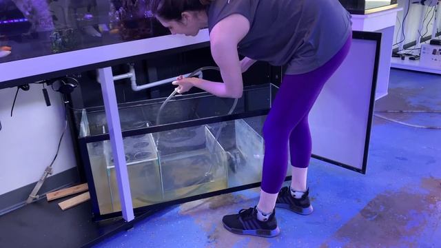 Reef Octopus 36" Sump Upgrade on the Saltwater Fish Tank смотреть онлайн