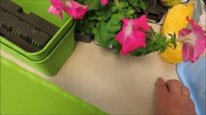 ИДЕЯ? ?Лайфхак ?цветы НА КАРНИЗЕ за окном ЛЕГКО и Просто ? канал  В стране чудес ??