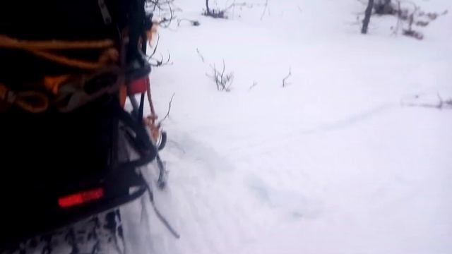 Ямаха викинг 3! Выезд на речку! Собаки! смотреть онлайн