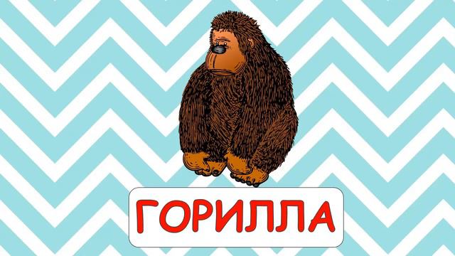 Зоопарк. Учим животных. Карточки Домана. Развивающее видео для детей про животных. смотреть онлайн