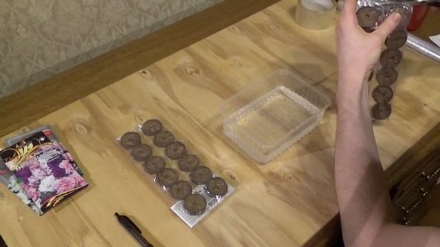 Петуния. Как и во что сеять? Торфяные таблетки. смотреть онлайн