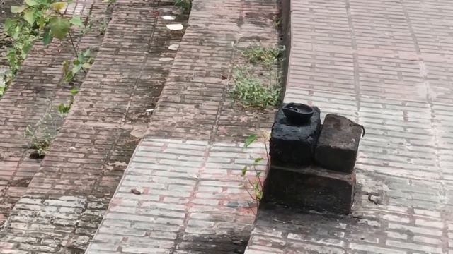 Харидвар. Дакша Ягья. Haridvar. Rishikesh. Daksha Yagya. Sati Kunda. Parikrama 2023. смотреть онлайн