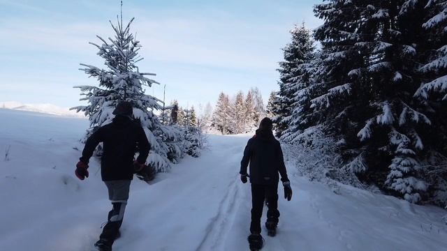 Výstup na Hájny Grúň, 26.12.2021 смотреть онлайн