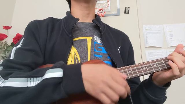 Have It All Cover (Ukulele) смотреть онлайн
