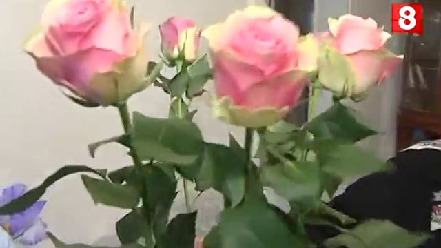 ИНТЕРВЬЮ №1.Н.Крачковская-03.03.2016 смотреть онлайн