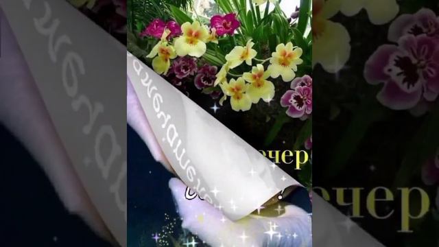 Добрый вечер друзья 💞💞💞💞💞Красивая музыкальная открытка 🌹🌹🌹#хорошеенастроение#цветы#закат🌅🌄 смотреть онлайн