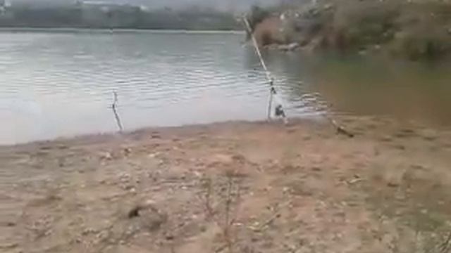 ФорельТаш кумыр форель смотреть онлайн