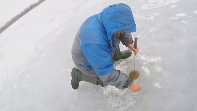 ОН ДАЖЕ НЕ ЛЕЗЕТ В ЛУНКУ.ЛОВЛЯ СУДАКА. смотреть онлайн