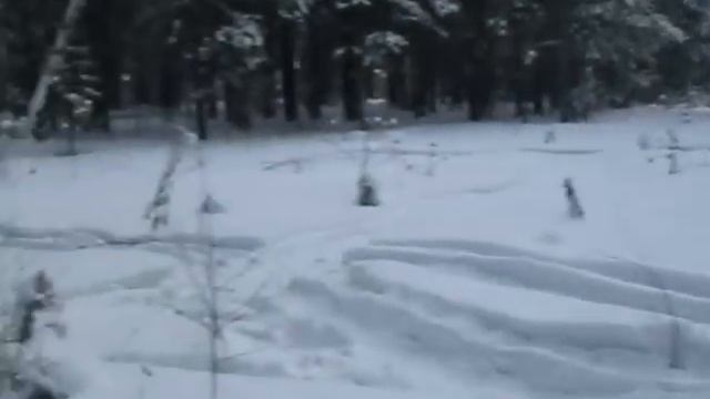 Зимний отдых в лесу на снегоходах смотреть онлайн