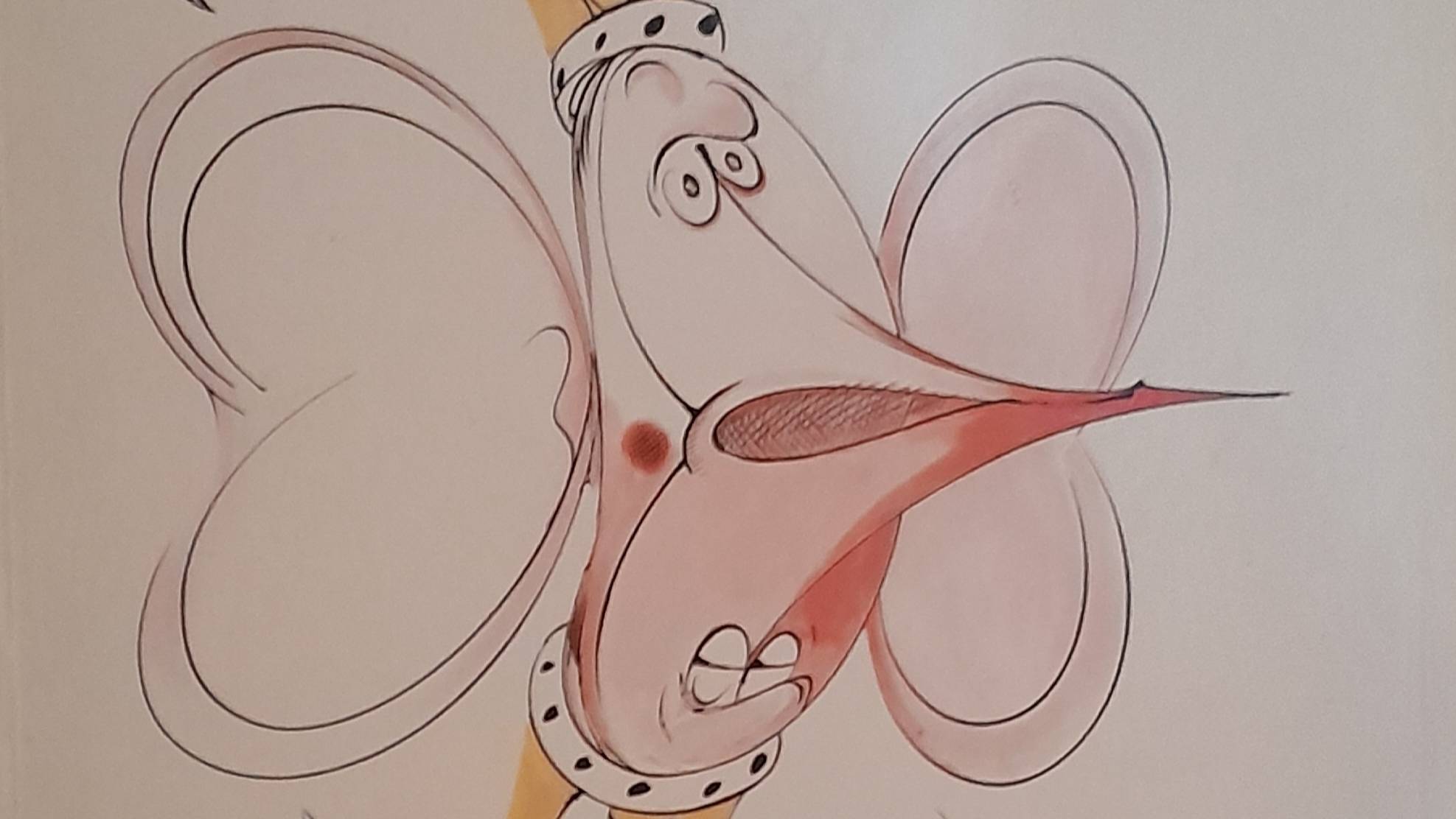 Gerald Scarfe: Scarfe Face