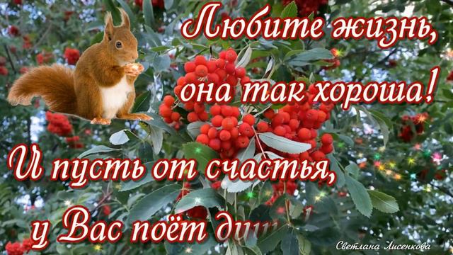 С Добрым Рябиновым Утром! смотреть онлайн