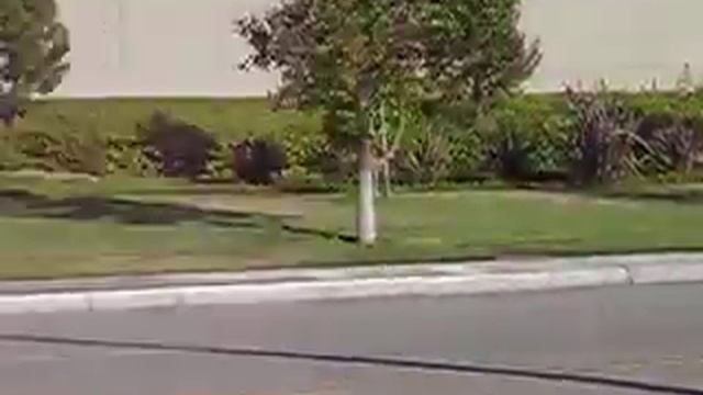 G35 VS TSX смотреть онлайн