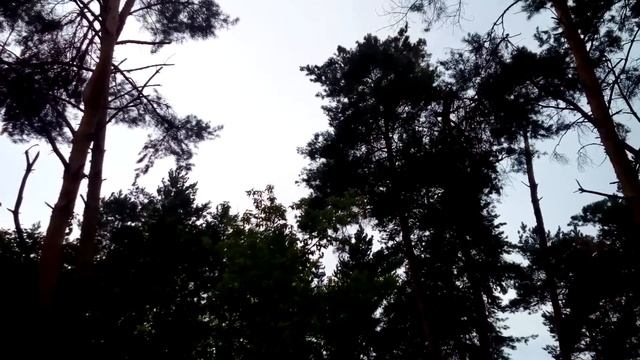 Саврань. Ивана-Купала и Красоты Природы смотреть онлайн