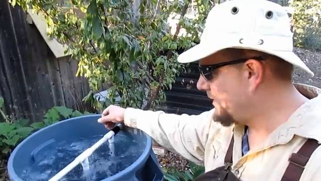 Foliar Spray Plant Fertilization | How, When & Why? смотреть онлайн