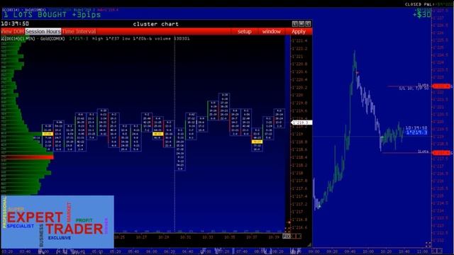 Курс Трейдинга от Expert Trader. Бесплатные уроки для начинающих трейдеров. смотреть онлайн