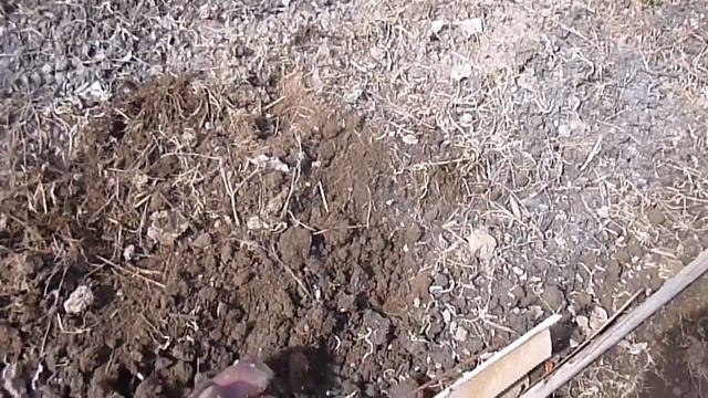 Грядки с органикой/ Сидераты/ Плоскорез Фокина/ Дачный Влог смотреть онлайн